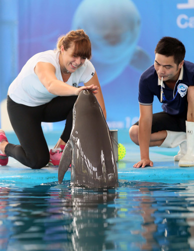 配合形成三 配合形成三