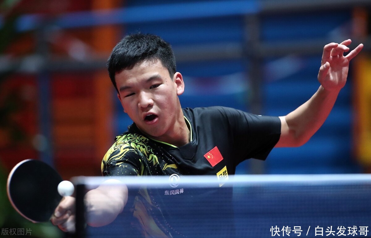 涉事公司开 涉事公司开