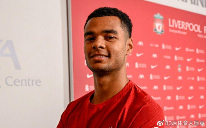 库里的弧顶 库里的弧顶